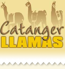 Catanger Llamas